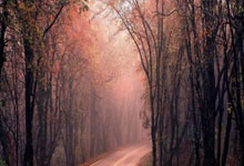 征途国际官网：[欧冠]门将补时破门 拉齐奥绝平马德里竞技.