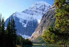 掘金本赛季已取得46胜28负 将保底附加赛.