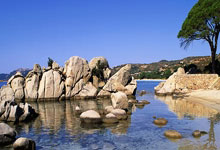 中国足球未来中场之星的成长之路.